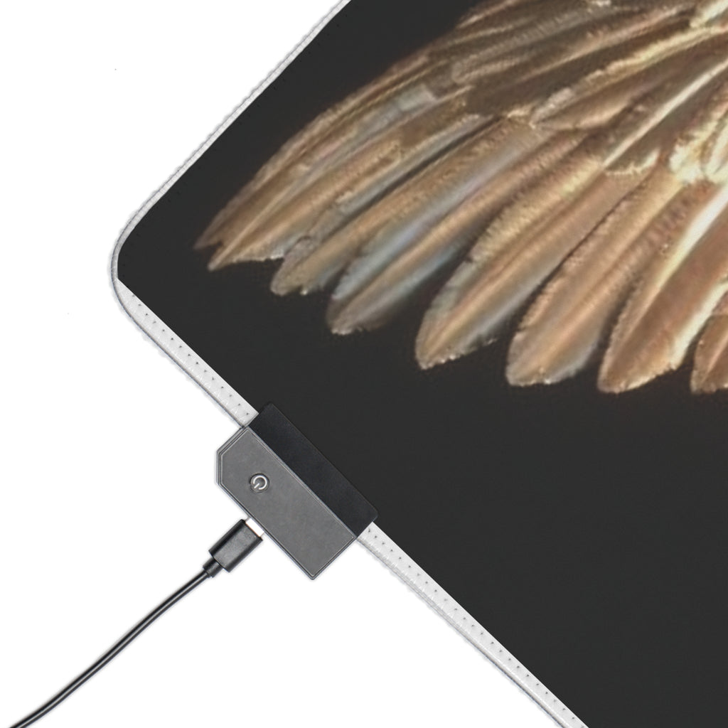 Golden Angel Wings LED