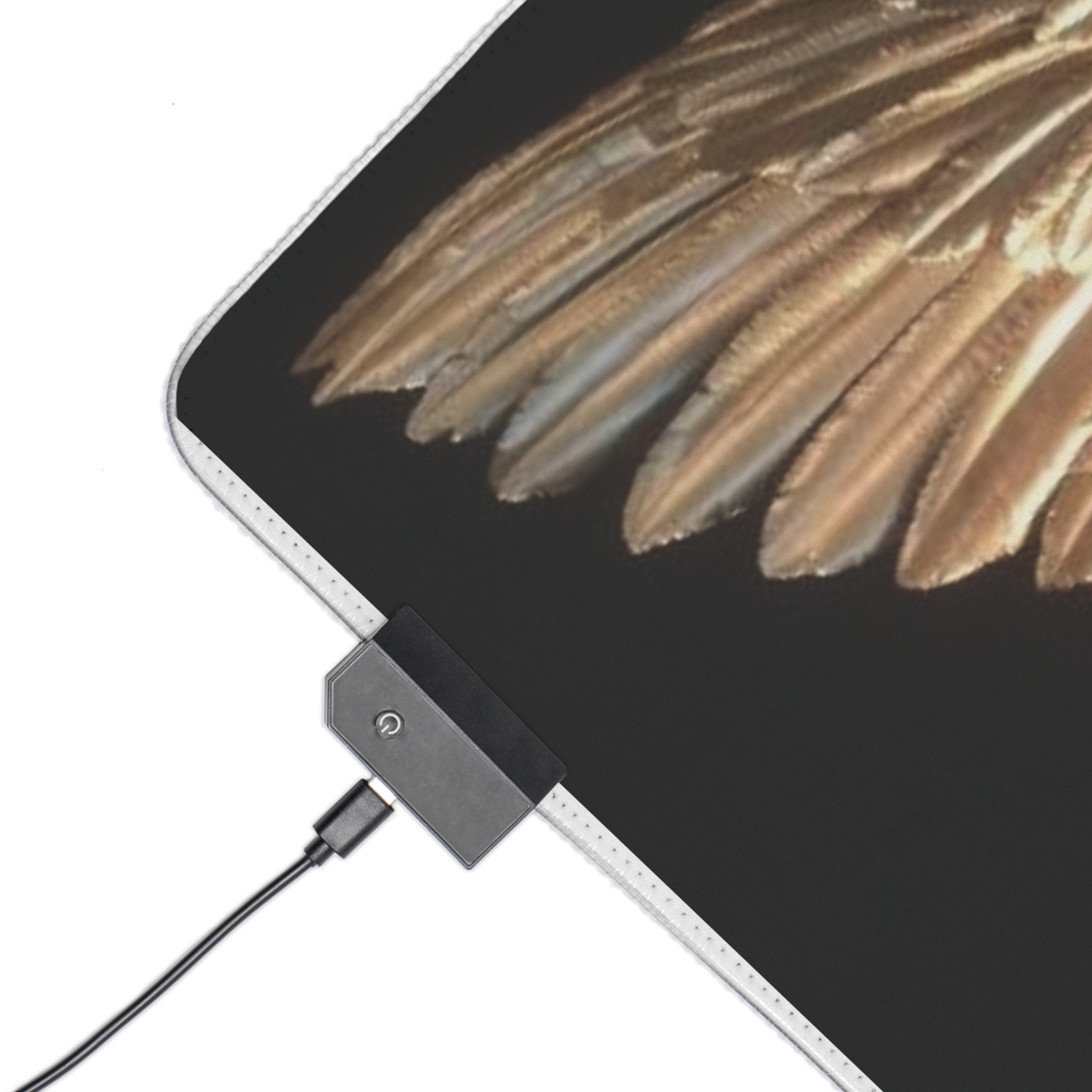 Golden Angel Wings LED